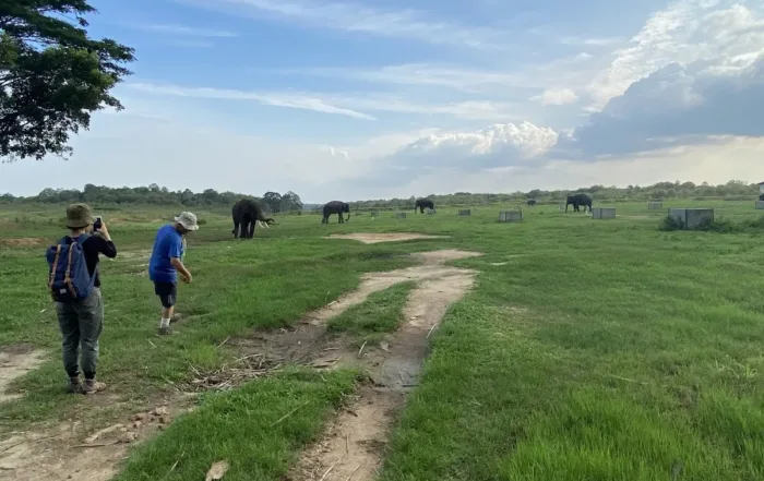 Taman Nasional Way Kambas