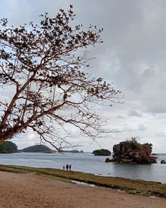 Tiket Masuk Pantai Kodang Merak