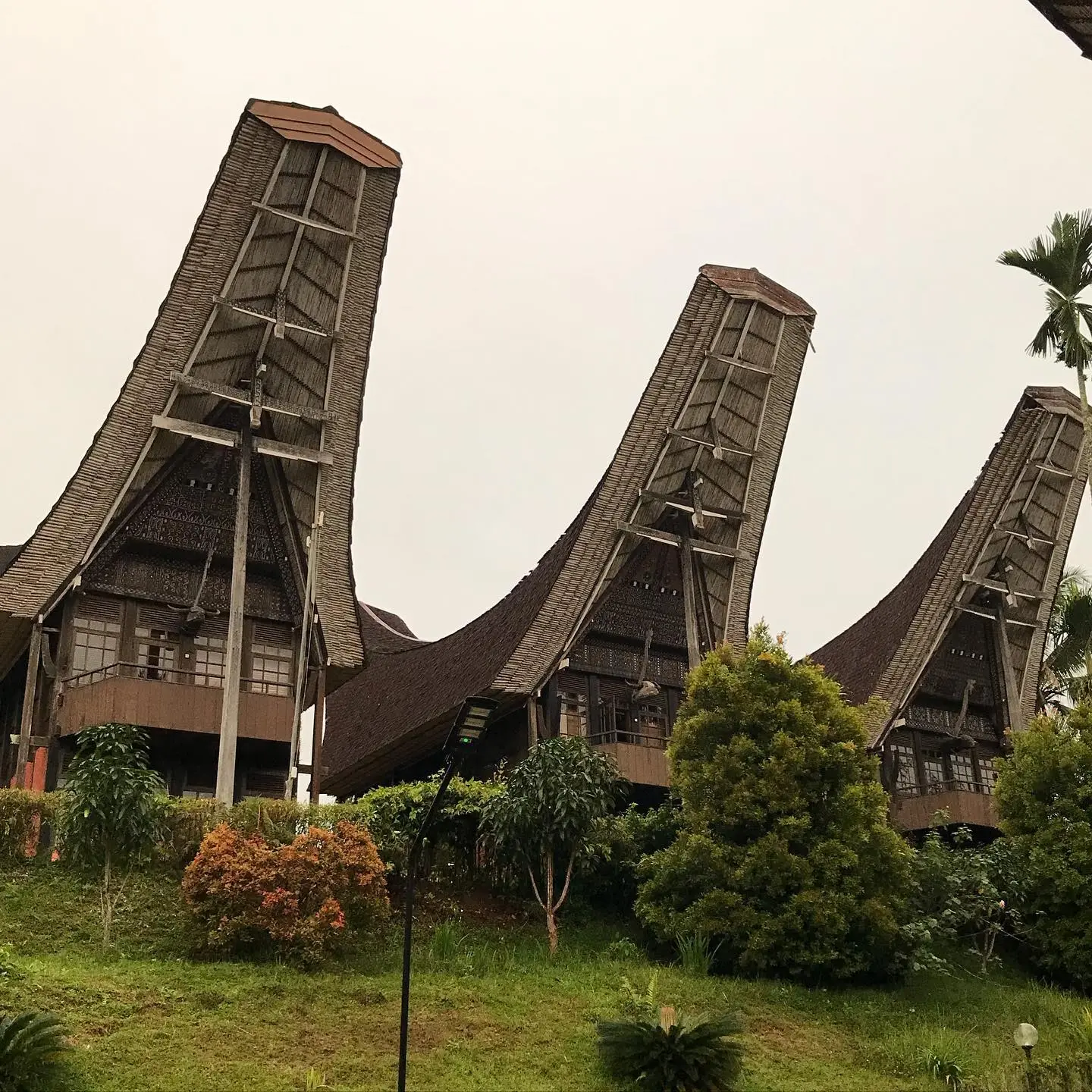 Hotel Terbaik Di Dataran Tinggi Tana Toraja Sulawesi Selatan