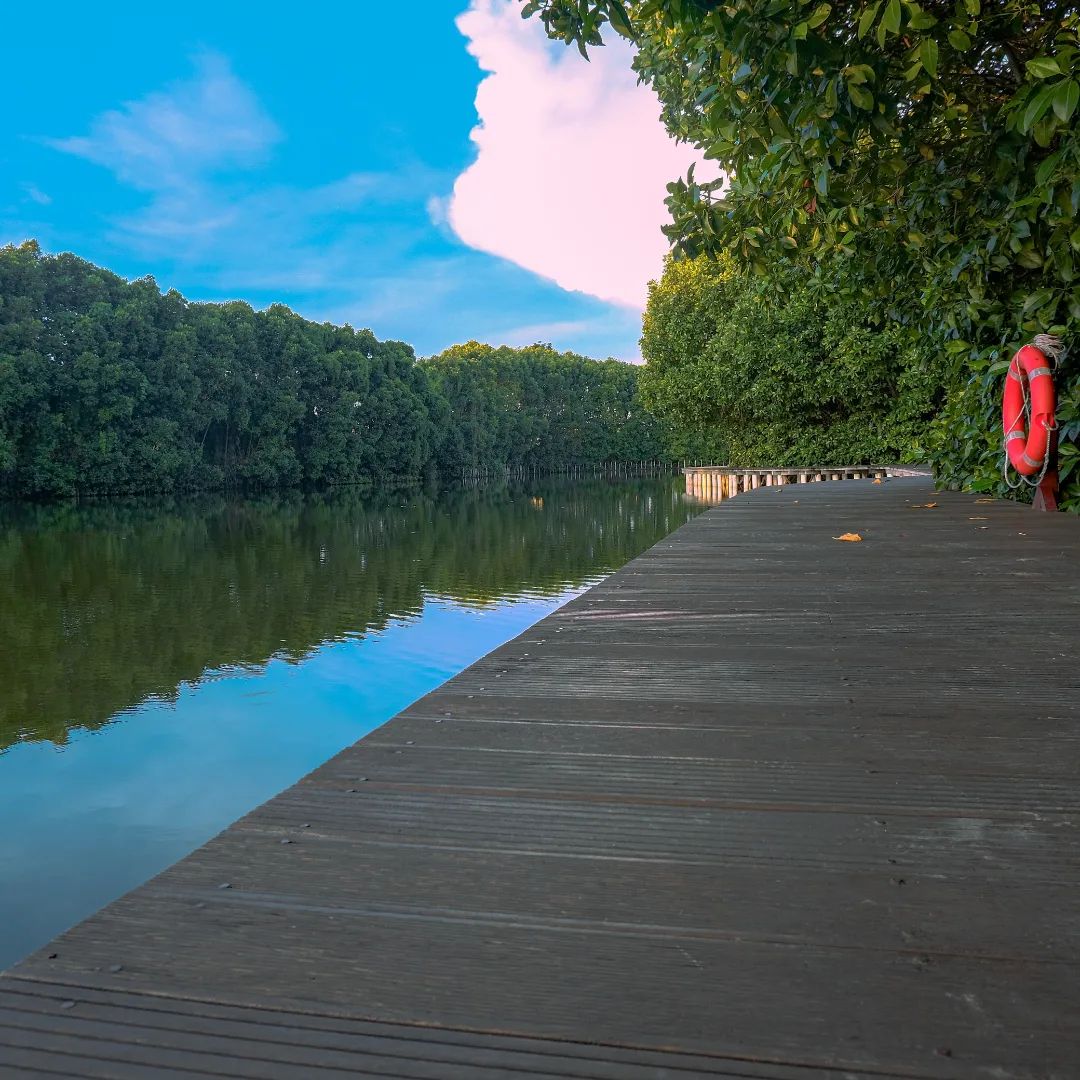 Trekking Mangrove Maerokoco Daerah Tujuan Ekowisata Fotogenik Di Semarang