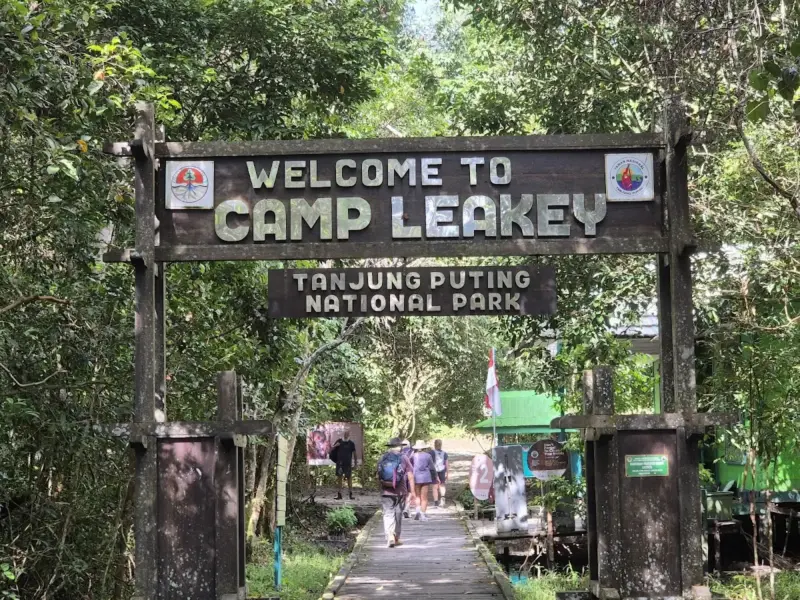 Ulasan Taman Nasional Tanjung Puting