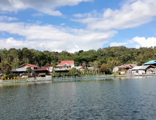 Danau Ranowangko Tempat Wisata Alternatif Di Tomohon