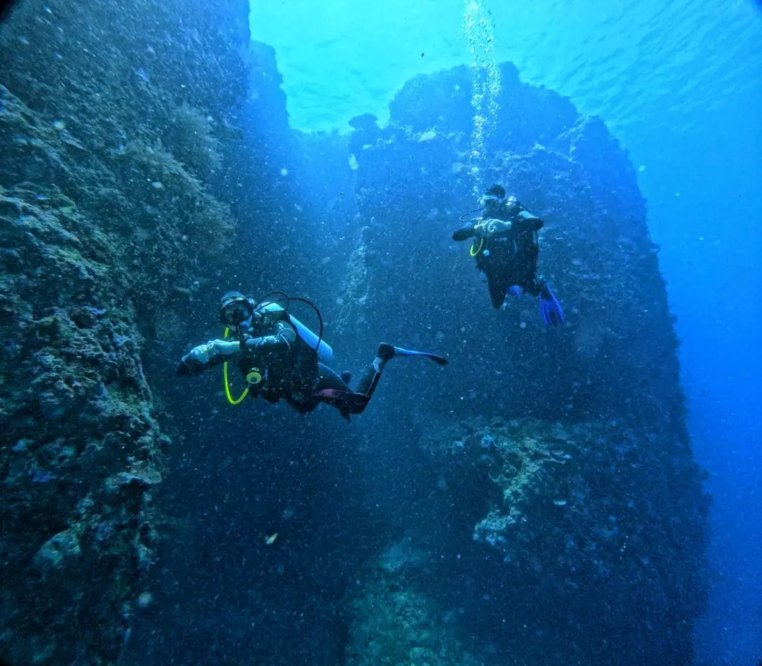 Wall Reef Pulau Kapoposang Makassar Sulawesi Selatan