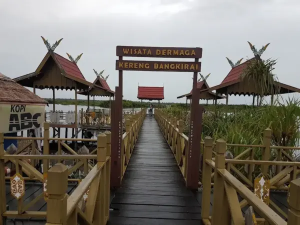 Wisata Taman Nasional Sebangau