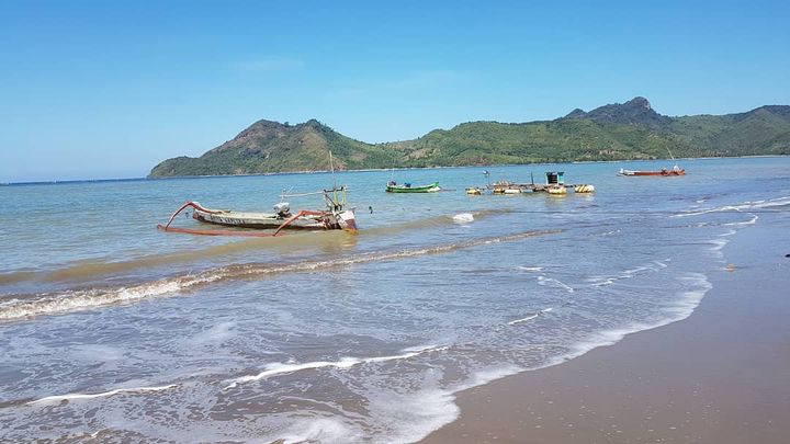 Teluk Belongas Menyelam Dengan Ikan Ikan Besar Di Lombok Selatan