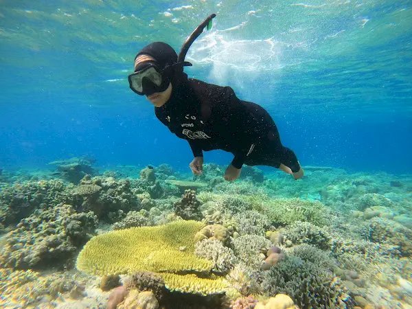 Snorkeling Pulau Tabuhan