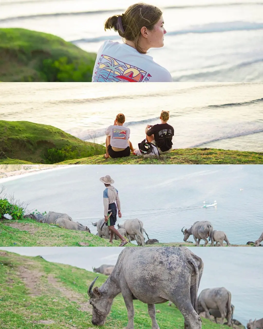 Bukit Merese Lombok Nusa Tenggara Barat