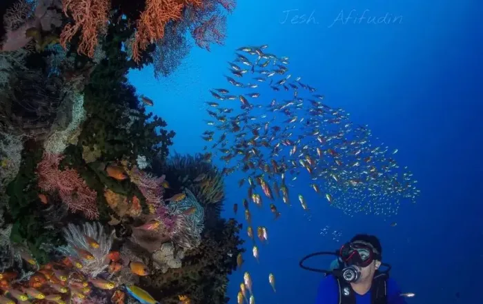 Pulau Pombo Kabupaten Maluku Tengah provinsi Maluku