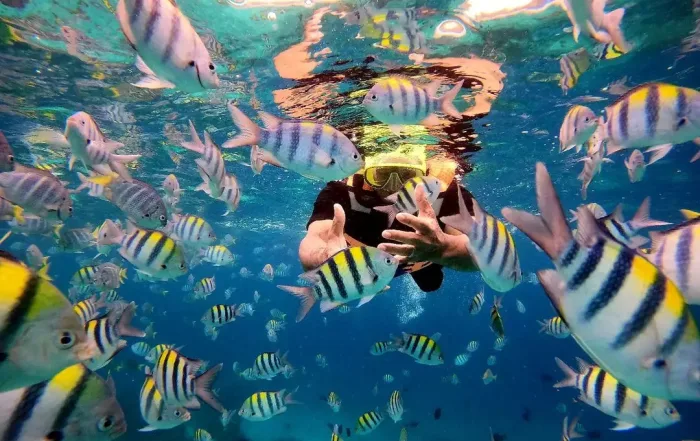 Pulau Rubiah iboih Sabang Aceh