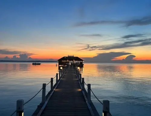 Pulau Maratua Pusat Penyu Di Indonesia