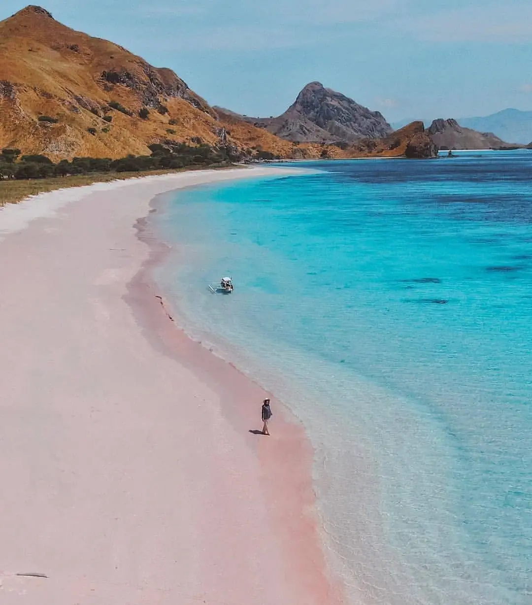 Pantai Pink Lombok “Pantai Yang Direkomendasikan Bagi Backpacker”