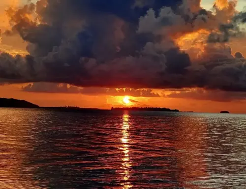 Pulau Kofiau Raja Ampat “Keanekaragaman Terumbu Karang Terbesar Di Dunia”
