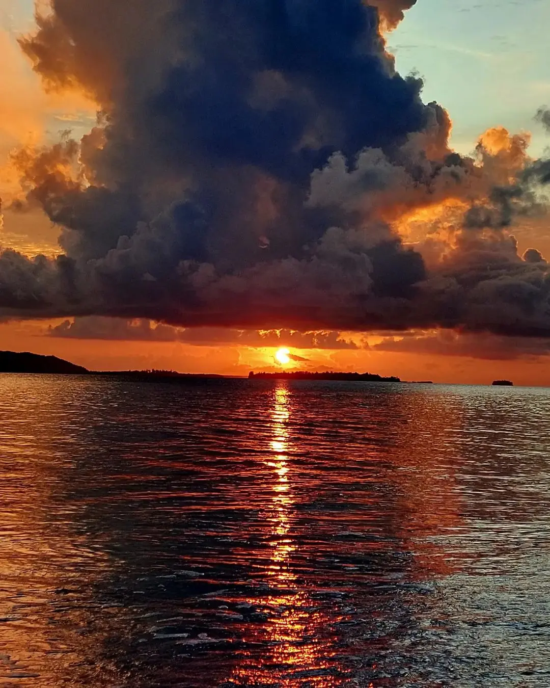 Pulau Kofiau Raja Ampat “Keanekaragaman Terumbu Karang Terbesar Di Dunia”