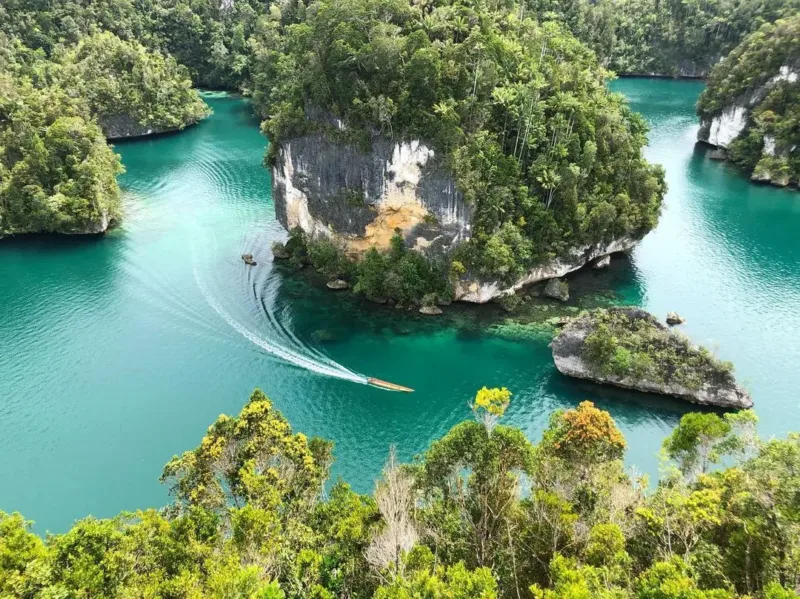 Teluk Kabui Raja Ampat Papua