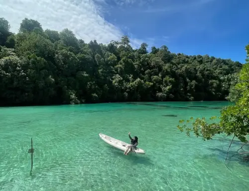 Laguna Kehe Daing Di Pulau Kakaban Keindahan Perawan Derawan