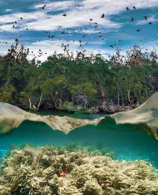 Taman Wisata Alam Laut 17 Pulau Riung Kabupaten Ngada, Nusa Tenggara Timur