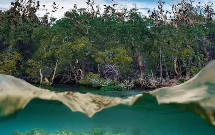 Pulau Misool Surga Wisata Laut Di Raja Ampat 4 Taman Wisata Alam Laut 17 Pulau Riung Kabupaten Ngada, Nusa Tenggara Timur