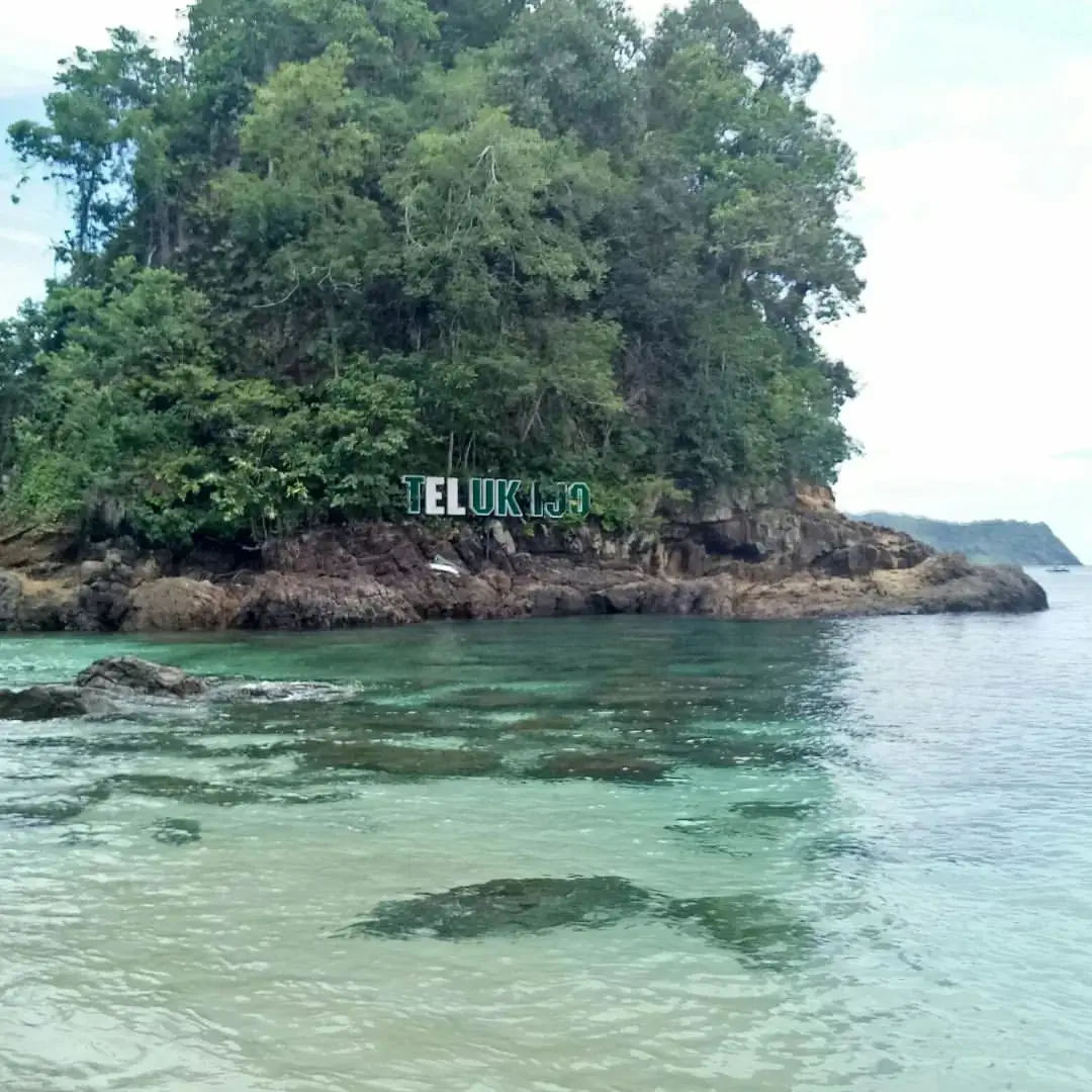Teluk Hijau Di Taman Nasional Meru Betiri Sensasi Berenang Air Laut Warna Hijau