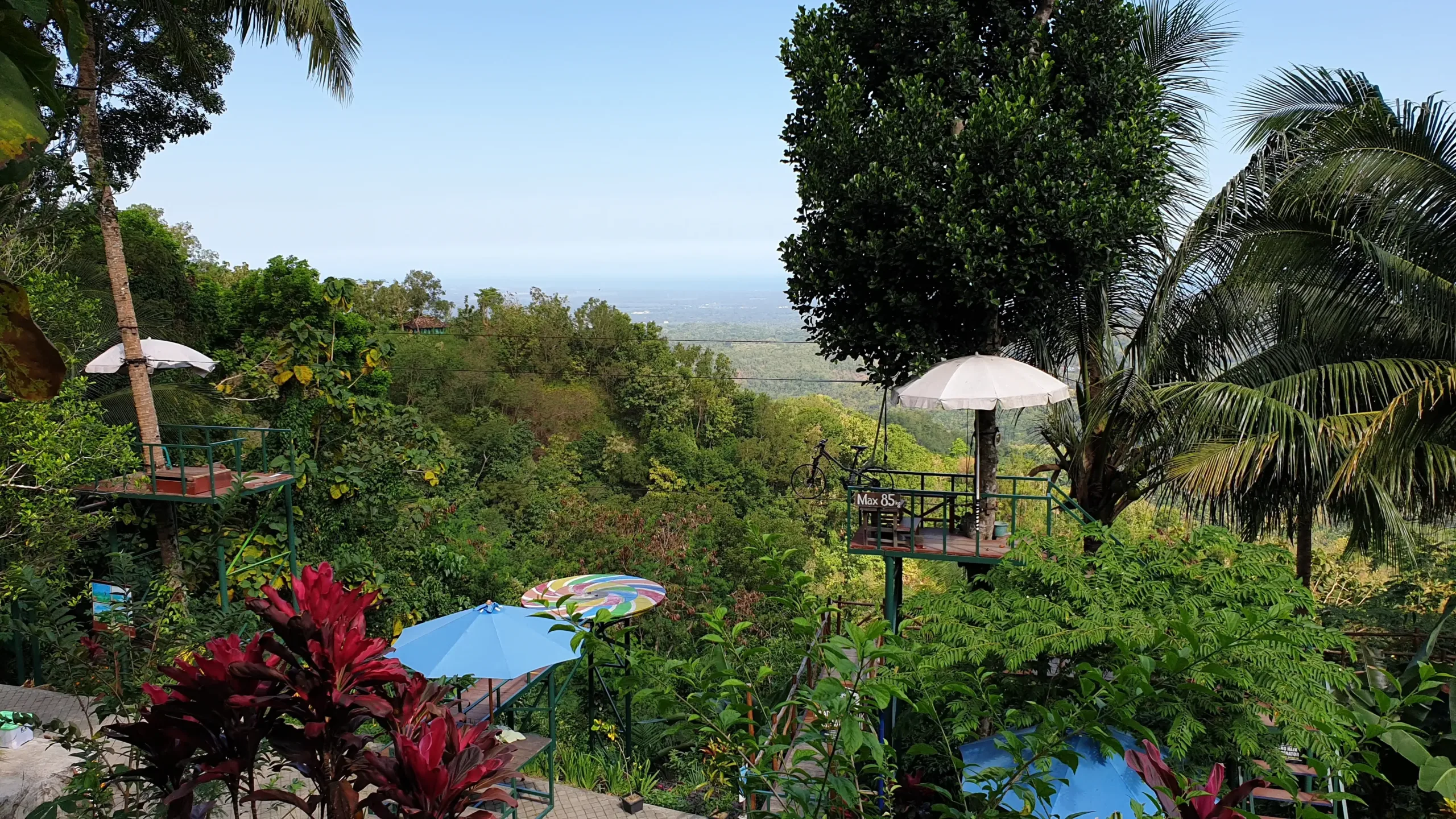 Bukit Wisata Pule payung Kulon Progo Yogyakarta