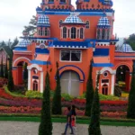 Wisata Taman Bunga Celosia Bandungan Semarang Jawa Tengah