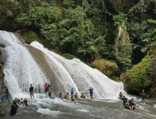 Taman Nasional Bantimurung Bulusaraung Cagar Alam Bagi Populasi Kupu Kupu