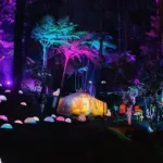 Hutan Mycelia Wahana Edukasi