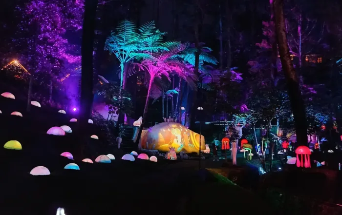 Hutan Mycelia Wahana Edukasi