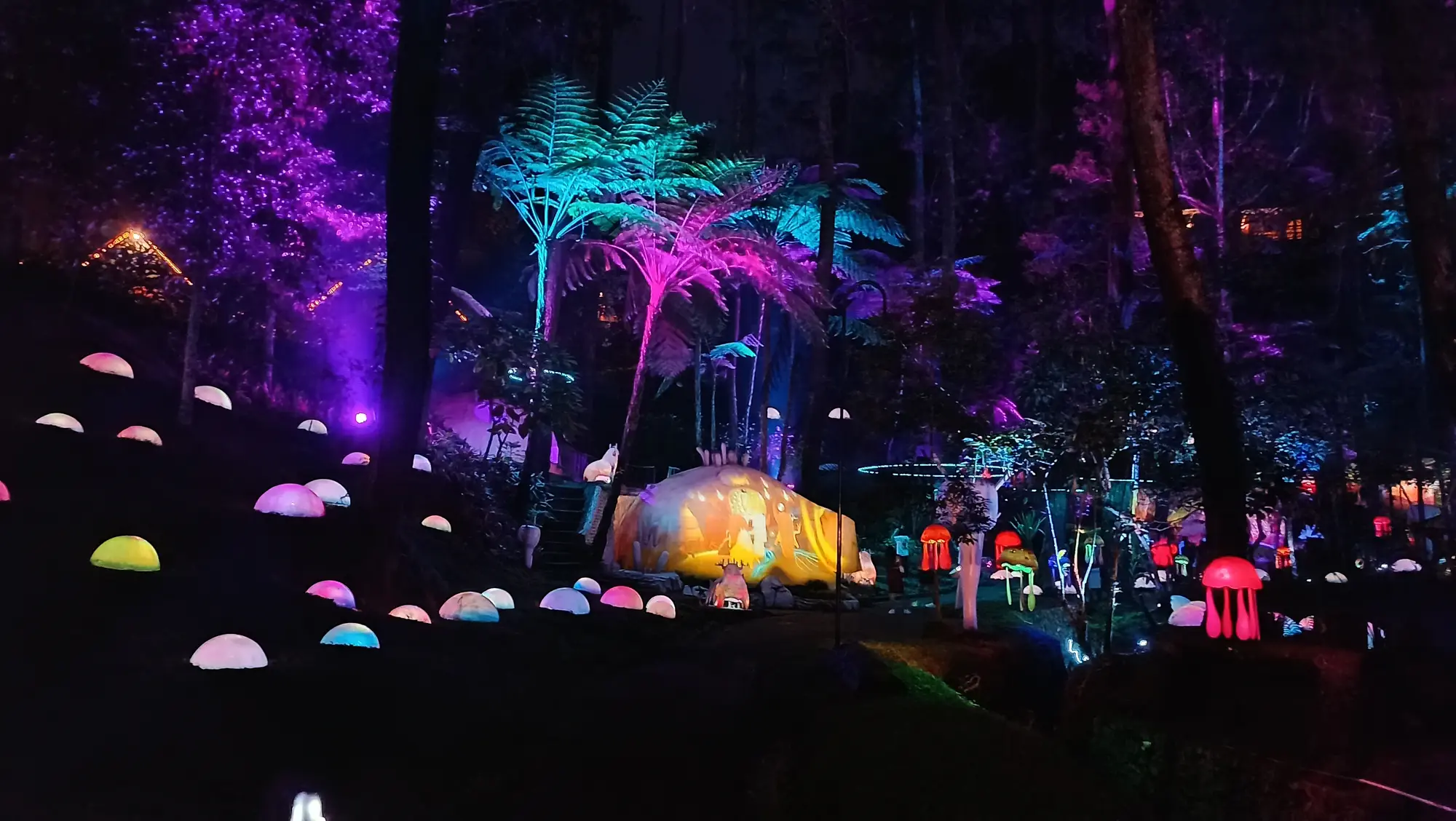 Wisata Malam Hutan Mycelia di Bandung – Ulasan dan Harga Tiket 2025
