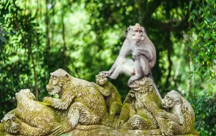 Mandala Suci Wenara Wana Ubud Bali