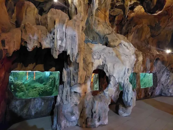 Akuarium Di Kura Kura Ocean Park