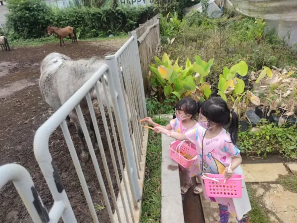 Jendela Alam Bandung Animal Feed