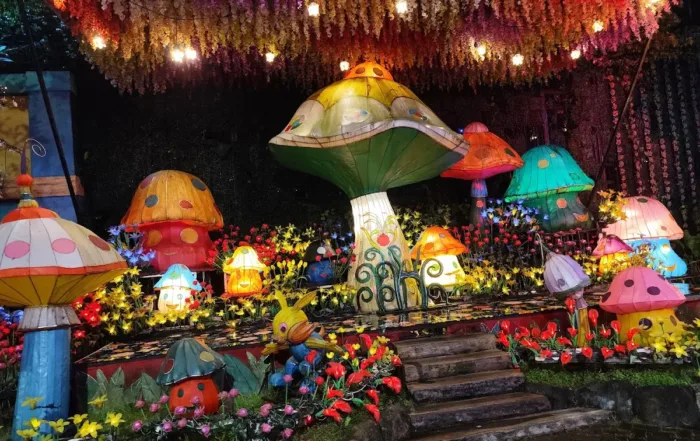 Malang Night Paradise