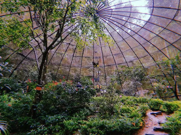 Taman Kupu Kupu Curug Cilember