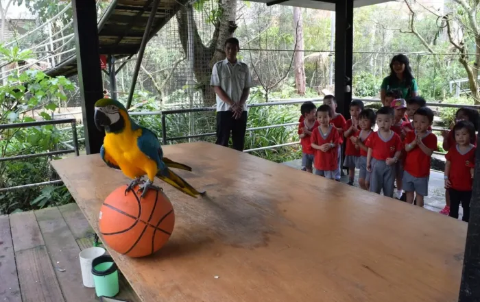 Taman Burung Bird Bromelia Pavilion