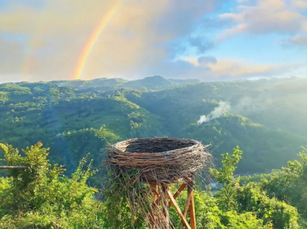 Bukit Mojo Gumelem Jogja
