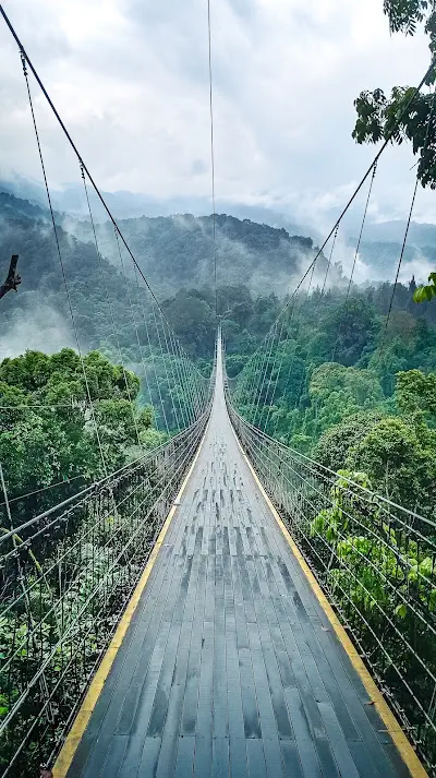 Situ Gunung Suspension Bridge - Geopark Ciletuh