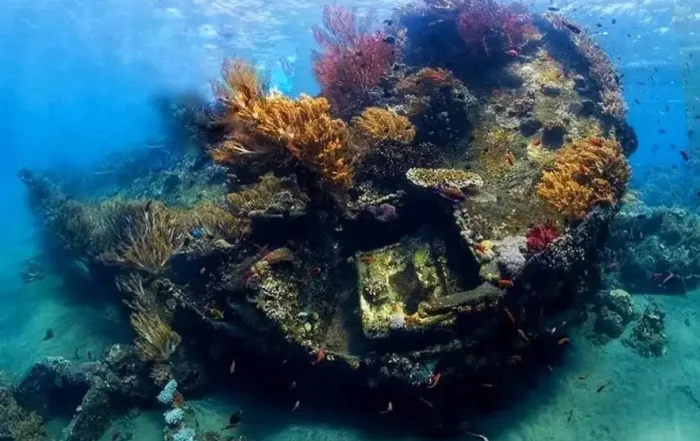 Diving di Japanese Ship Wreck Point