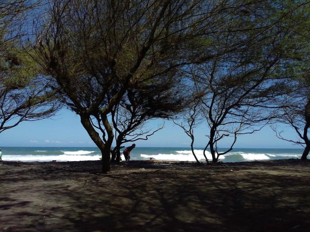 Pantai Pandansari Bantul Pemandangan Dari Mercusuar Dan Perkebunan Buah Naga