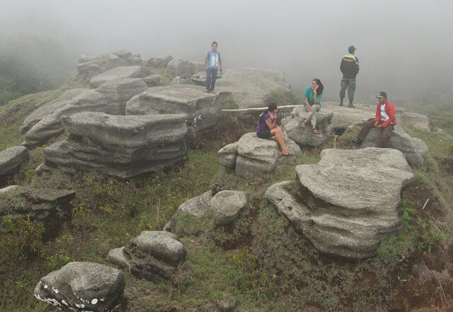 Puncak Gunung Wanggameti - Taman Nasional Laiwangi Wanggameti