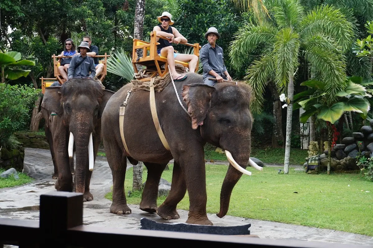 Eksplorasi Bali Zoo Park: Panduan Pengunjung Untuk Petualangan Dan Konservasi 6 Eksplorasi Bali Zoo Park: Panduan Pengunjung untuk Petualangan dan Konservasi