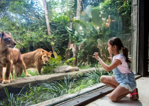 Jadwal Pertunjukan Bali Zoo