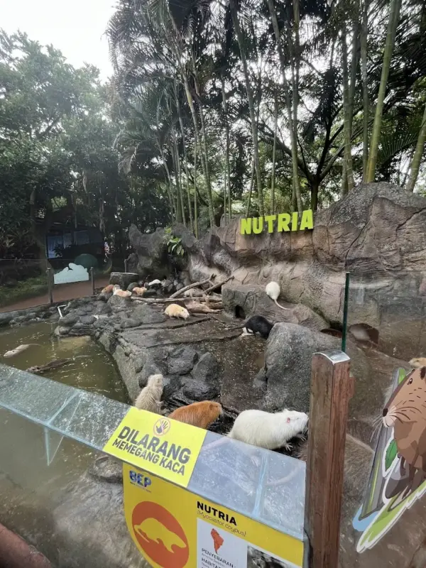 Gambar Batu Ekonomis Park