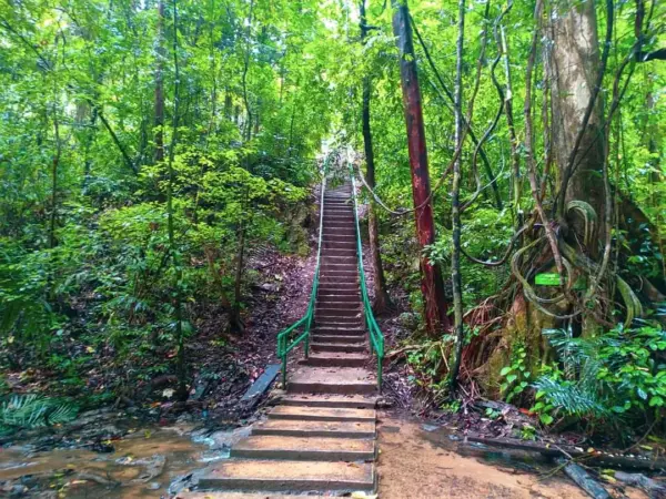 Deretan anak tangga beton dengan pegangan besi hijau di jalur trekking Hutan Suaka Alam Tanjung Peropa menuju Air Terjun Moramo Sulawesi Tenggara